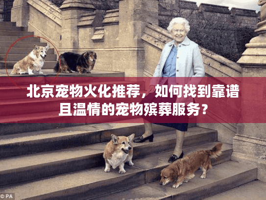北京宠物火化推荐，如何找到靠谱且温情的宠物殡葬服务？