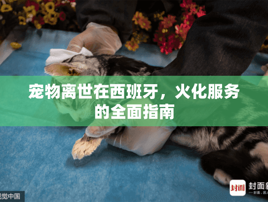 宠物离世在西班牙，火化服务的全面指南
