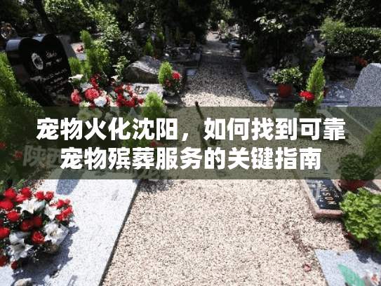 宠物火化沈阳，如何找到可靠宠物殡葬服务的关键指南