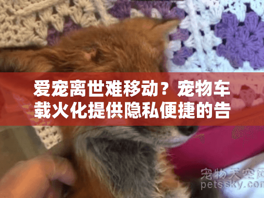 爱宠离世难移动？宠物车载火化提供隐私便捷的告别方式