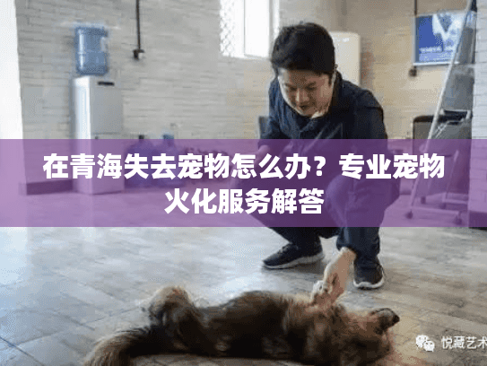 在青海失去宠物怎么办？专业宠物火化服务解答