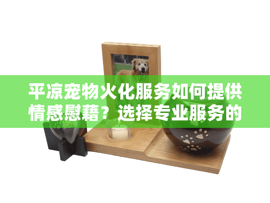 平凉宠物火化服务如何提供情感慰藉？选择专业服务的重要性