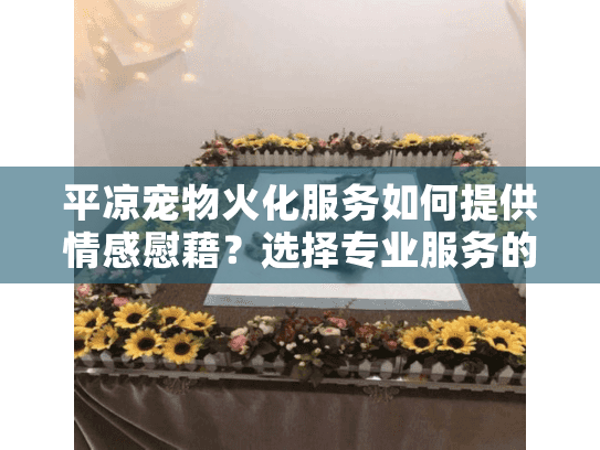 平凉宠物火化服务如何提供情感慰藉？选择专业服务的重要性