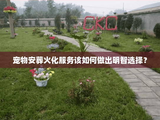 宠物安葬火化服务该如何做出明智选择？
