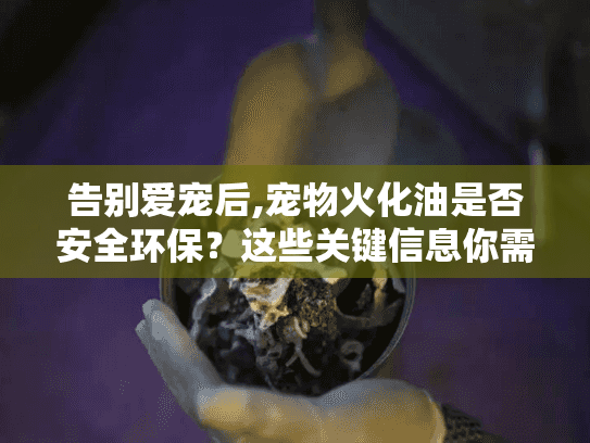 告别爱宠后,宠物火化油是否安全环保？这些关键信息你需要知道