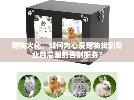 宠物火化，如何为心爱宠物找到专业且温暖的告别服务？