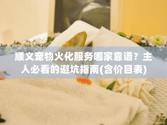 顺义宠物火化服务哪家靠谱？主人必看的避坑指南(含价目表)
