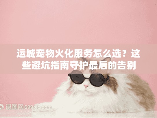 运城宠物火化服务怎么选？这些避坑指南守护最后的告别