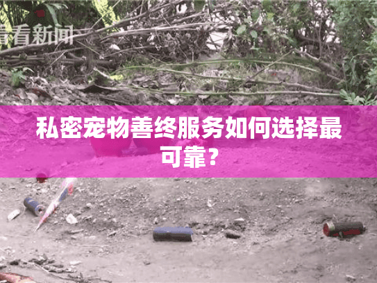 私密宠物善终服务如何选择最可靠？