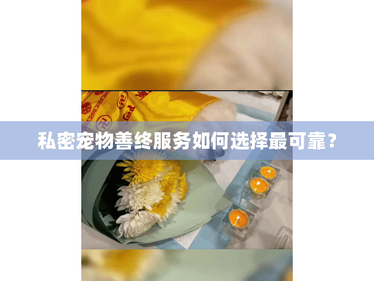 私密宠物善终服务如何选择最可靠？