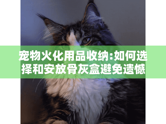 宠物火化用品收纳:如何选择和安放骨灰盒避免遗憾?