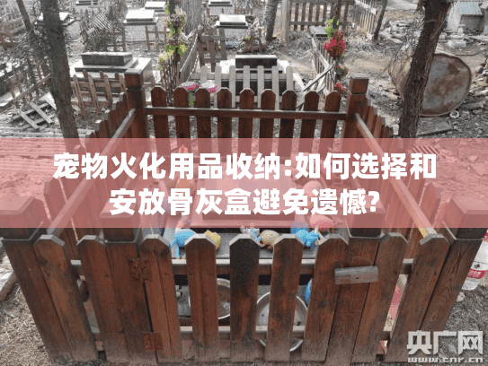 宠物火化用品收纳:如何选择和安放骨灰盒避免遗憾?
