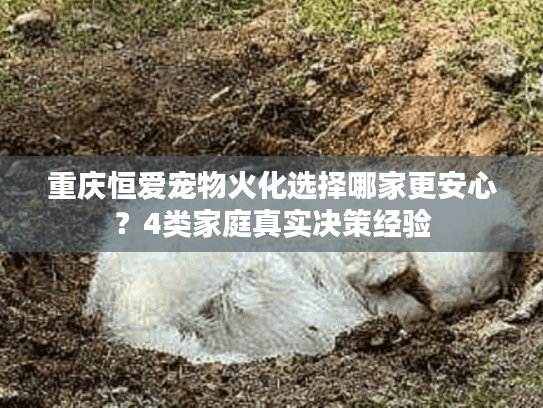 重庆恒爱宠物火化选择哪家更安心？4类家庭真实决策经验