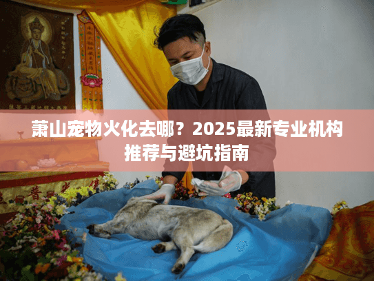 萧山宠物火化去哪？2025最新专业机构推荐与避坑指南