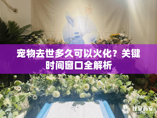 宠物去世多久可以火化？关键时间窗口全解析