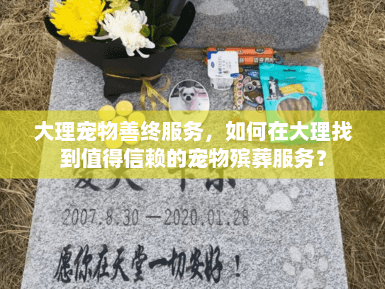 大理宠物善终服务，如何在大理找到值得信赖的宠物殡葬服务？