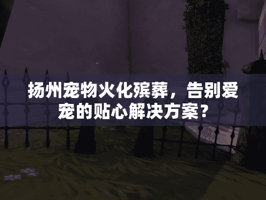 扬州宠物火化殡葬，告别爱宠的贴心解决方案？