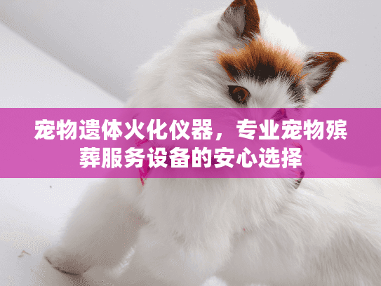宠物遗体火化仪器，专业宠物殡葬服务设备的安心选择
