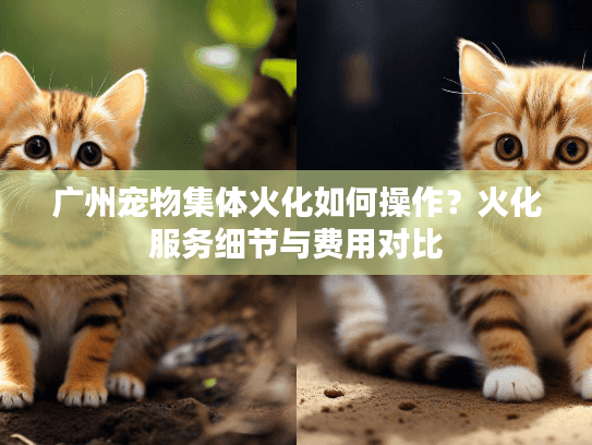 广州宠物集体火化如何操作？火化服务细节与费用对比