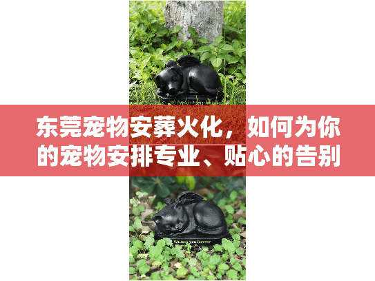 东莞宠物安葬火化，如何为你的宠物安排专业、贴心的告别服务？