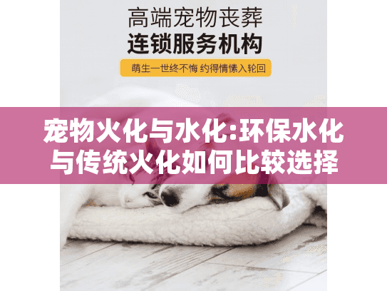 宠物火化与水化:环保水化与传统火化如何比较选择?