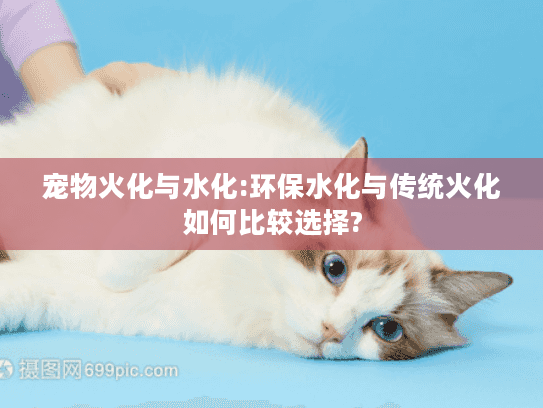 宠物火化与水化:环保水化与传统火化如何比较选择?