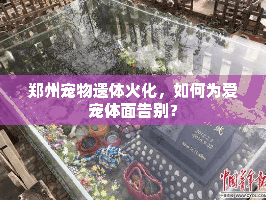 郑州宠物遗体火化，如何为爱宠体面告别？