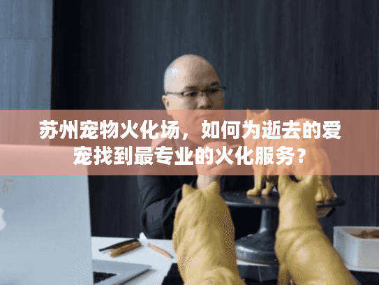 苏州宠物火化场，如何为逝去的爱宠找到最专业的火化服务？