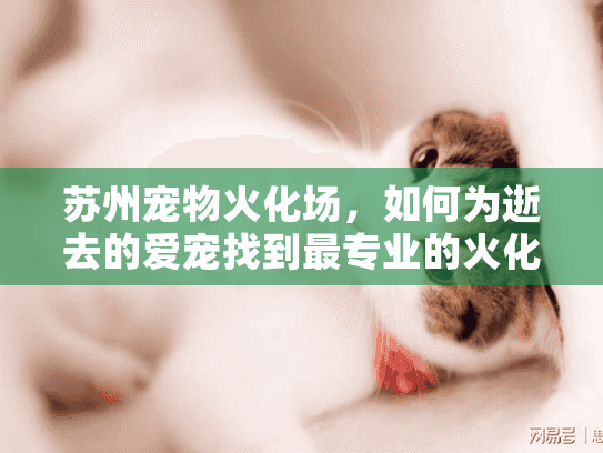 苏州宠物火化场，如何为逝去的爱宠找到最专业的火化服务？