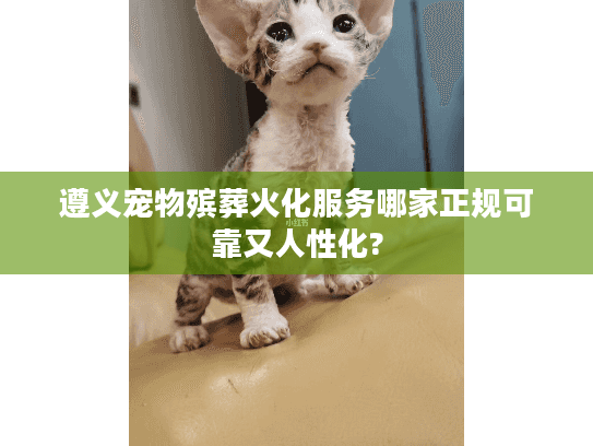 遵义宠物殡葬火化服务哪家正规可靠又人性化?
