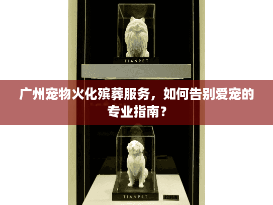 广州宠物火化殡葬服务，如何告别爱宠的专业指南？