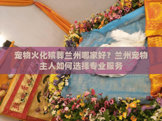 宠物火化殡葬兰州哪家好？兰州宠物主人如何选择专业服务
