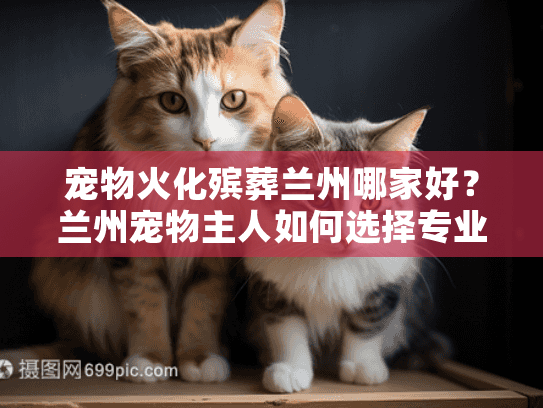 宠物火化殡葬兰州哪家好？兰州宠物主人如何选择专业服务
