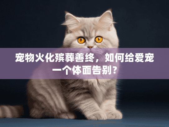 宠物火化殡葬善终，如何给爱宠一个体面告别？
