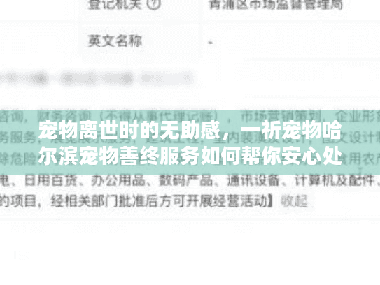 宠物离世时的无助感，一祈宠物哈尔滨宠物善终服务如何帮你安心处理？