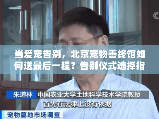 当爱宠告别，北京宠物善终馆如何送最后一程？告别仪式选择指南