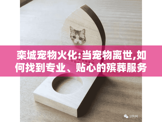栾城宠物火化:当宠物离世,如何找到专业、贴心的殡葬服务?