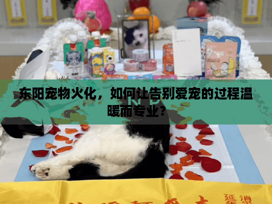 东阳宠物火化，如何让告别爱宠的过程温暖而专业？