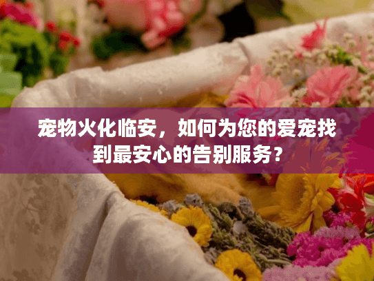 宠物火化临安，如何为您的爱宠找到最安心的告别服务？