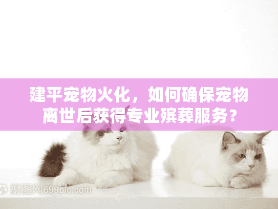 建平宠物火化，如何确保宠物离世后获得专业殡葬服务？