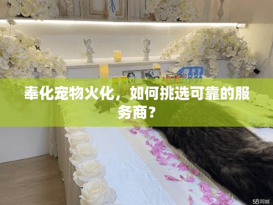 奉化宠物火化，如何挑选可靠的服务商？