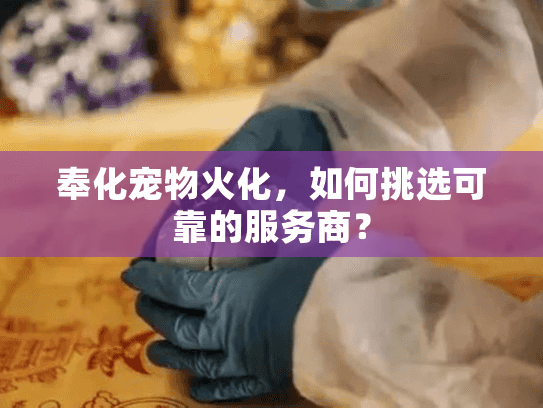 奉化宠物火化，如何挑选可靠的服务商？