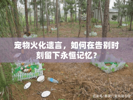 宠物火化遗言，如何在告别时刻留下永恒记忆？