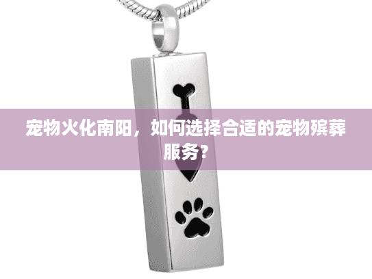 宠物火化南阳，如何选择合适的宠物殡葬服务？
