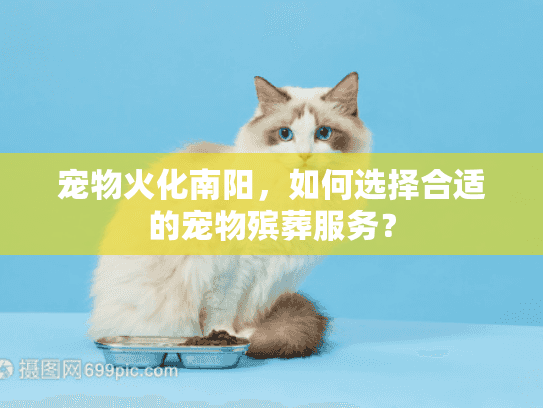 宠物火化南阳，如何选择合适的宠物殡葬服务？