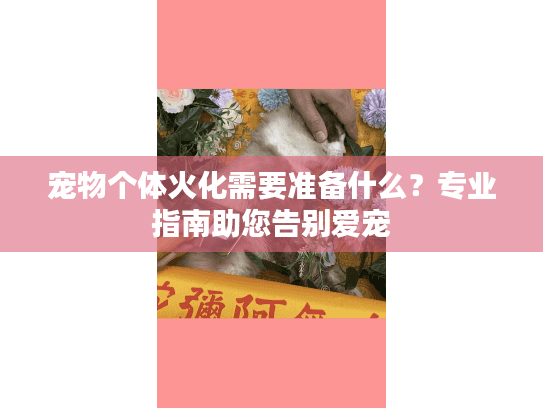 宠物个体火化需要准备什么？专业指南助您告别爱宠
