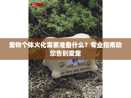 宠物个体火化需要准备什么？专业指南助您告别爱宠