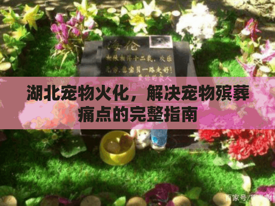 湖北宠物火化，解决宠物殡葬痛点的完整指南