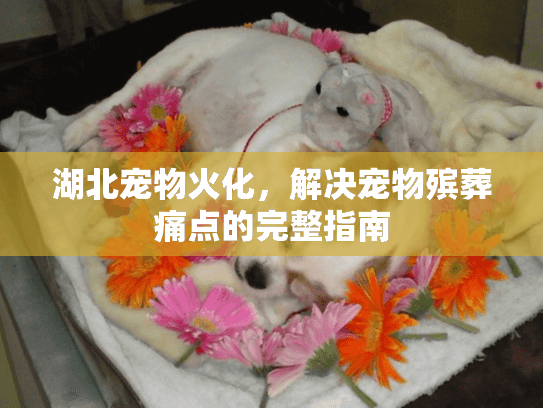 湖北宠物火化，解决宠物殡葬痛点的完整指南
