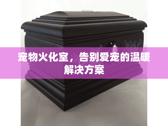 宠物火化室，告别爱宠的温暖解决方案